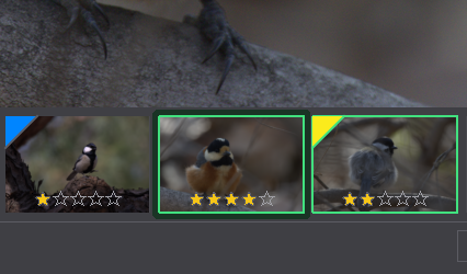 Ratings and color labels view